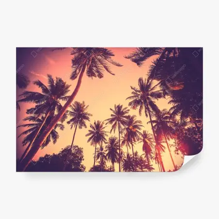 Papier peint crépuscule tropical vintage – Wallnifity®