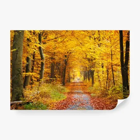 Papier peint chemin d'automne en forêt dorée – Wallnifity®
