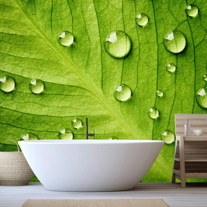 Fleurs et plantes – Wallnifity®