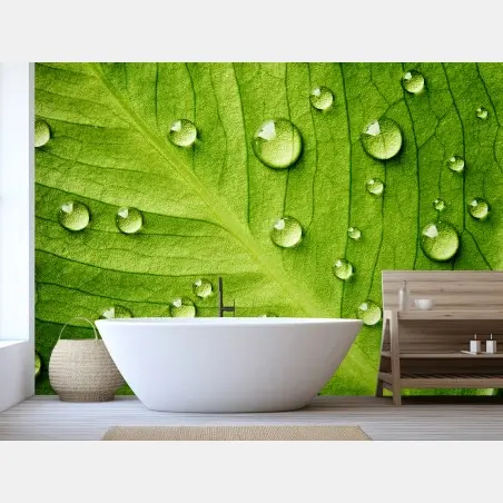 Papier peint gouttes sur feuille verte en gros plan – Wallnifity®