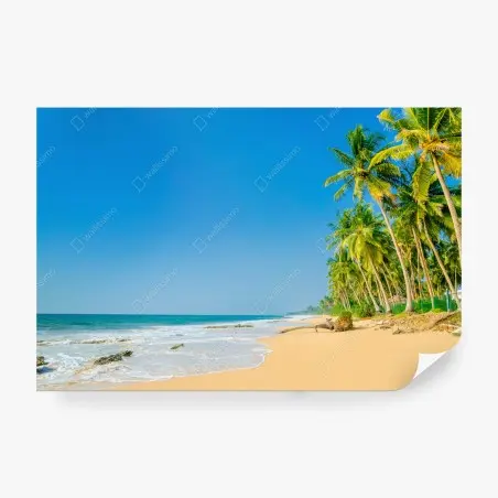 Papier peint plage tropicale bordée de palmiers – Wallnifity®