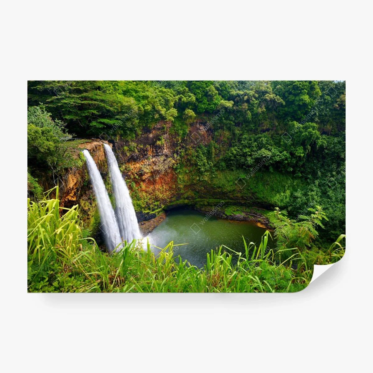 Papier peint cascade double dans une forêt luxuriante – Wallnifity® Papier peint cascade double dans une forêt luxuriante – Wallnifity®