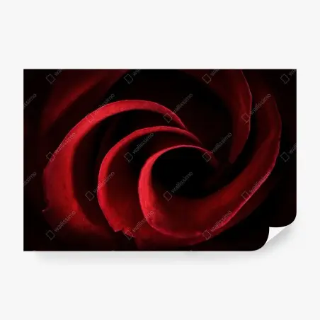 Papier peint spirale de pétales de rose rouge – Wallnifity®