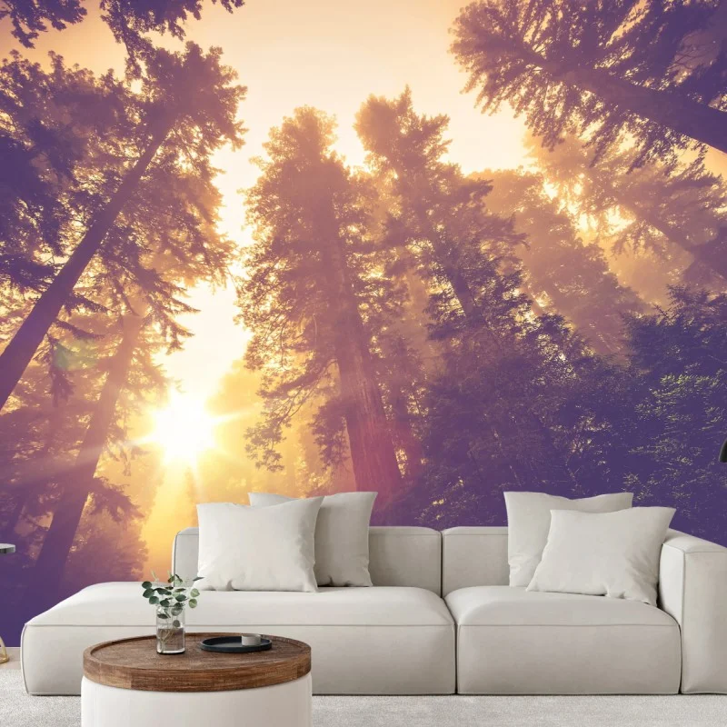 Nature – Wallnifity®