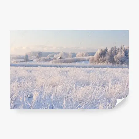 Papier peint paysage hivernal givré au lever du soleil – Wallnifity®