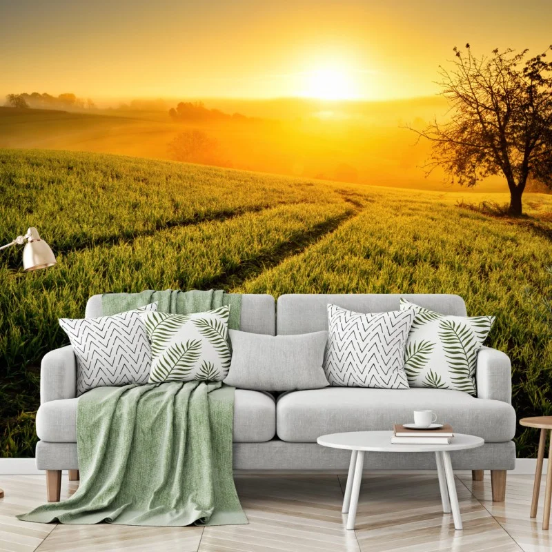 Nature – Wallnifity®