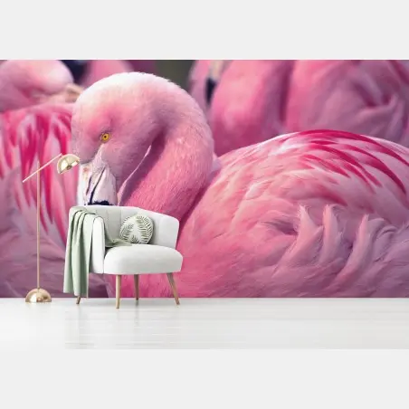 Papier peint élégant flamant rose au plumage vibrant – Wallnifity®