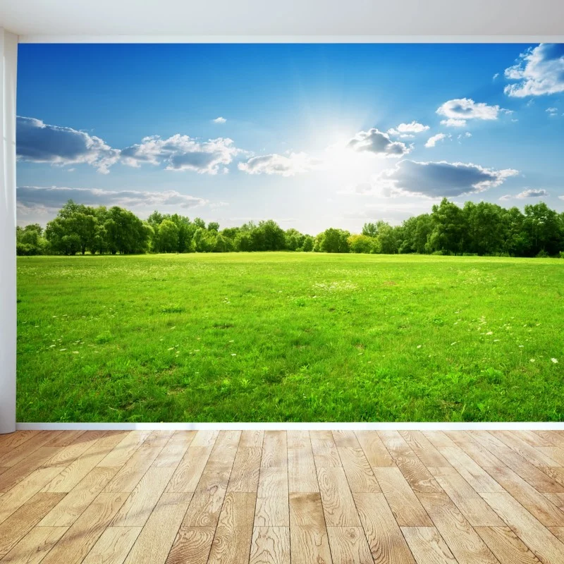 Papier peint champ verdoyant sous un ciel ensoleillé – Wallnifity® Papier peint champ verdoyant sous un ciel ensoleillé – Wallnifity®
