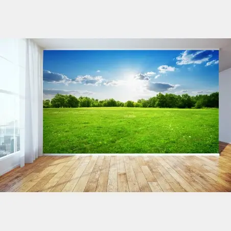 Papier peint champ verdoyant sous un ciel ensoleillé – Wallnifity®