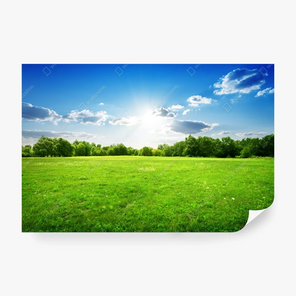 Papier peint champ verdoyant sous un ciel ensoleillé – Wallnifity® Papier peint champ verdoyant sous un ciel ensoleillé – Wallnifity®