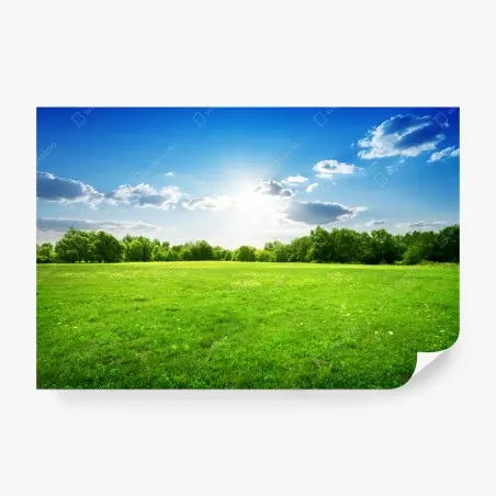Papier peint champ verdoyant sous un ciel ensoleillé – Wallnifity®
