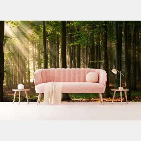 Papier peint forêt enchantée au lever du soleil – Wallnifity®