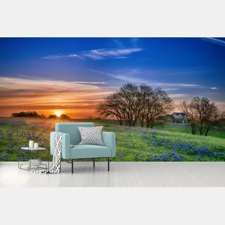 Papier peint champ de bluebonnets du Texas au lever du soleil – Wallnifity®