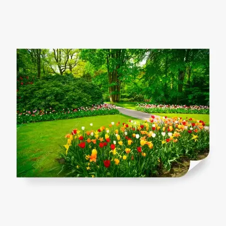 Papier peint jardin de Keukenhof en fleurs – Wallnifity®