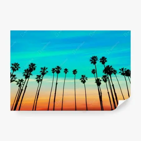 Papier peint lignes de palmiers au coucher du soleil à Santa Barbara – Wallnifity®