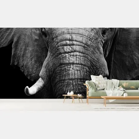 Papier peint portrait d'éléphant en noir et blanc – Wallnifity®