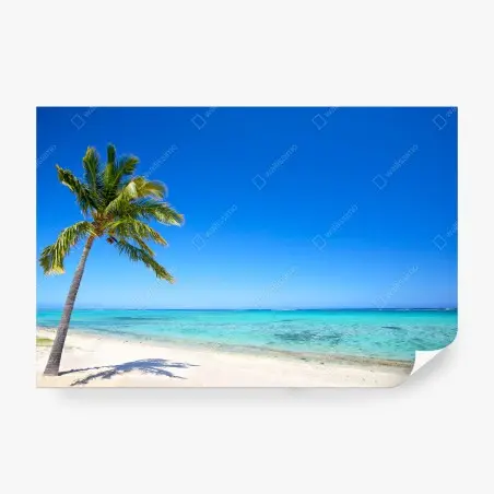 Papier peint palmier solitaire sur plage paradisiaque – Wallnifity®