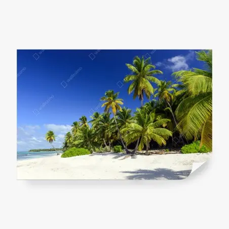 Papier peint plage paradisiaque de Punta Cana – Wallnifity®