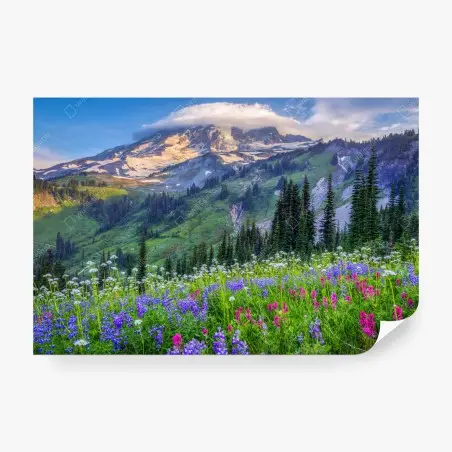 Papier peint prairie alpine fleurie au pied de la montagne – Wallnifity®