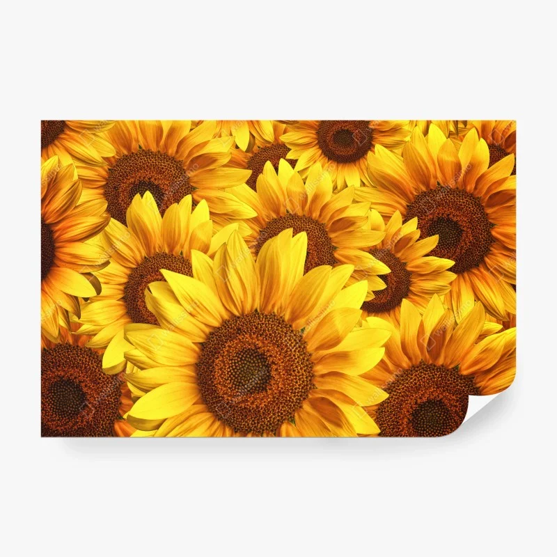 Papier peint mosaïque de tournesols éclatants – Wallnifity® Papier peint mosaïque de tournesols éclatants – Wallnifity®