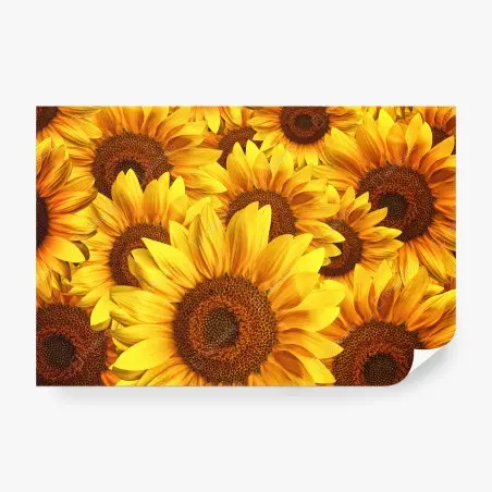 Papier peint mosaïque de tournesols éclatants – Wallnifity®