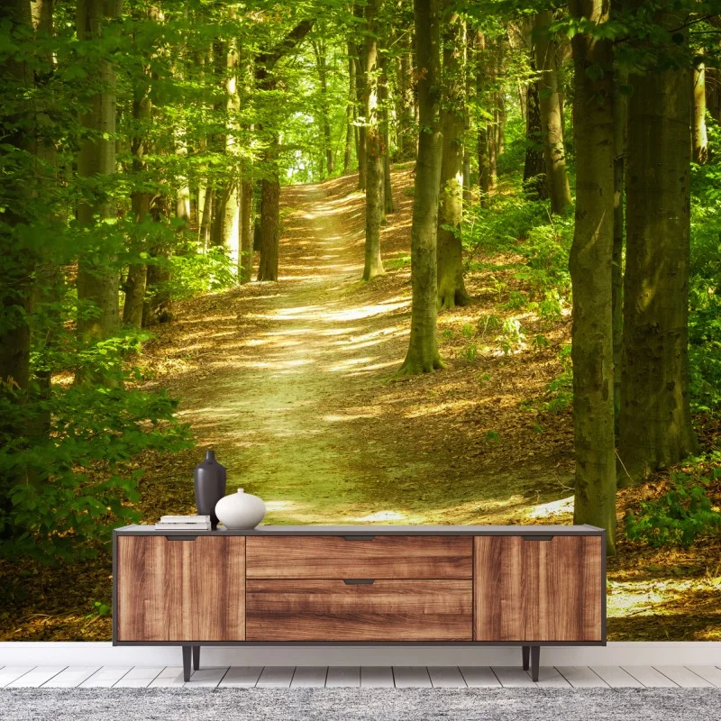Papier peint sentier en forêt baigné de lumière – Wallnifity® Papier peint sentier en forêt baigné de lumière – Wallnifity®