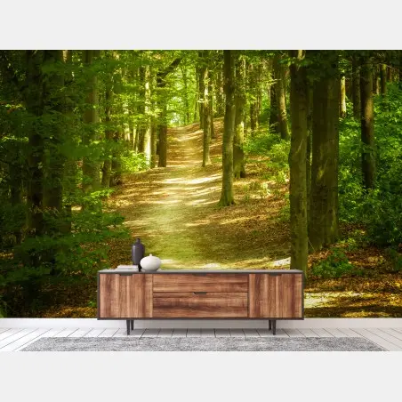 Papier peint sentier en forêt baigné de lumière – Wallnifity®