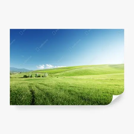 Papier peint collines verdoyantes sous ciel bleu – Wallnifity®