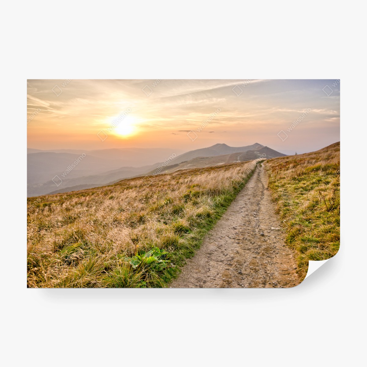 Papier peint sentier au coucher de soleil dans les Bieszczady – Wallnifity®