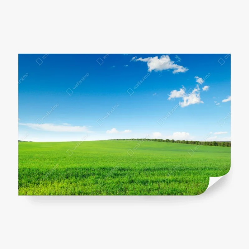 Papier peint paysage champêtre verdoyant sous ciel bleu – Wallnifity® Papier peint paysage champêtre verdoyant sous ciel bleu – Wallnifity®