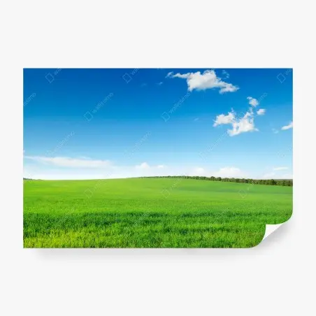 Papier peint paysage champêtre verdoyant sous ciel bleu – Wallnifity®