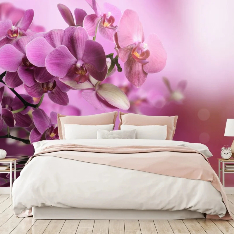 Fleurs et plantes – Wallnifity®