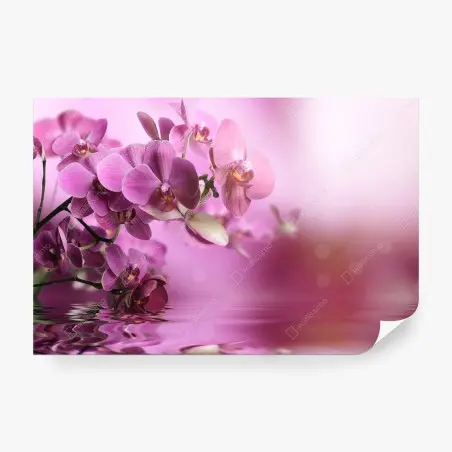 Papier peint orchidées roses en reflet apaisant – Wallnifity®