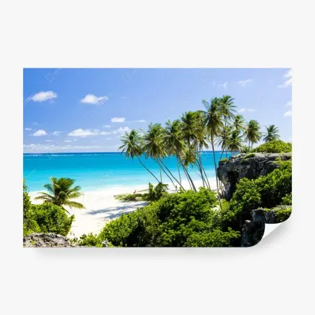 Papier peint évasion tropicale à Bottom Bay, Barbados – Wallnifity®