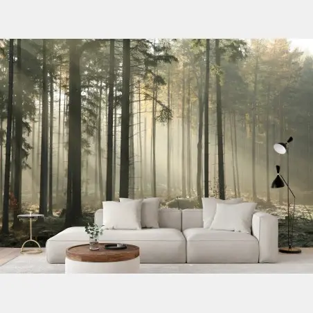 Papier peint forêt brumeuse et lumière matinale – Wallnifity®