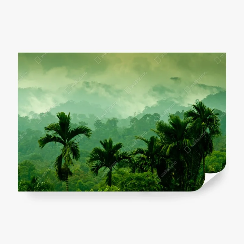 Papier peint panorama de forêt tropicale brumeuse – Wallnifity® Papier peint panorama de forêt tropicale brumeuse – Wallnifity®