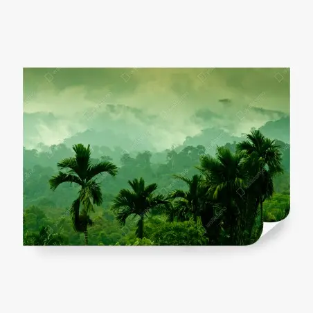 Papier peint panorama de forêt tropicale brumeuse – Wallnifity®
