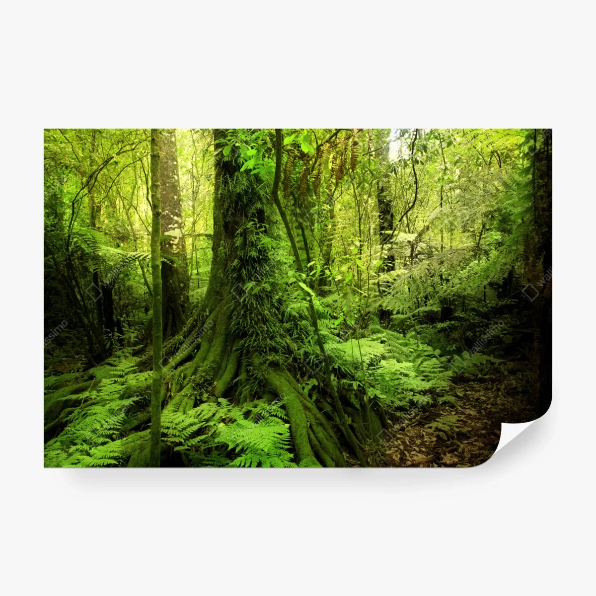 Papier peint forêt tropicale luxuriante – Wallnifity® Papier peint forêt tropicale luxuriante – Wallnifity®