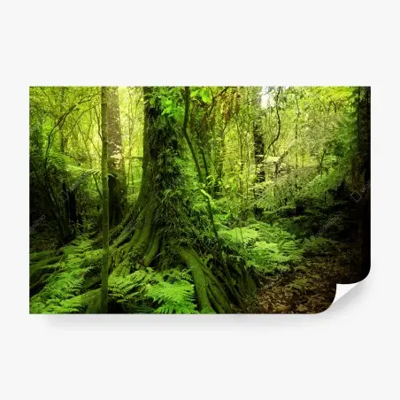 Papier peint forêt tropicale luxuriante – Wallnifity®