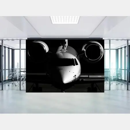 Papier peint jet privé en contre-jour silhouette monochrome – Wallnifity®