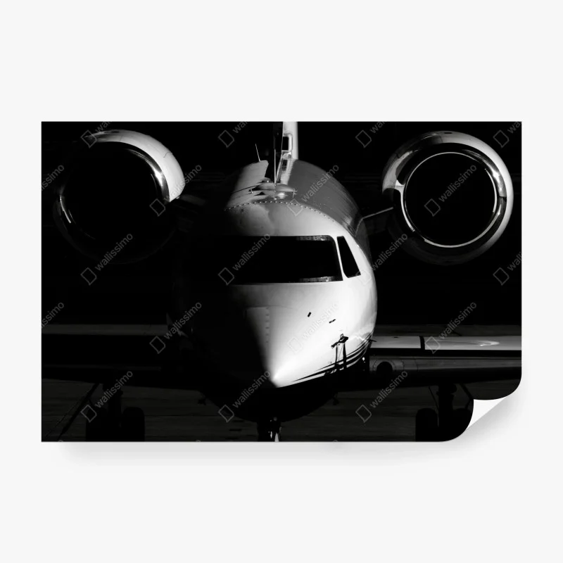 Papier peint jet privé en contre-jour silhouette monochrome – Wallnifity® Papier peint jet privé en contre-jour silhouette monochrome – Wallnifity®