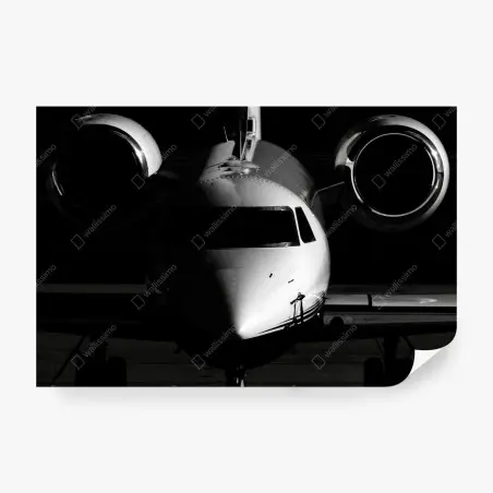 Papier peint jet privé en contre-jour silhouette monochrome – Wallnifity®