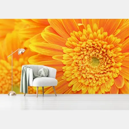 Papier peint gros plan gérbera orange éclatant – Wallnifity®