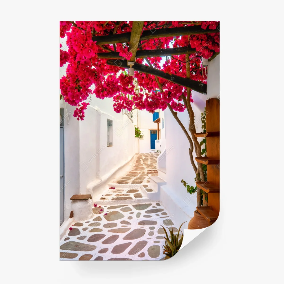Papier peint ruelle aux bougainvilliers et pavés blancs – Wallnifity®