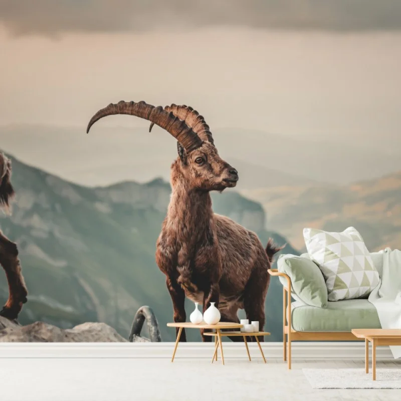 Nature – Wallnifity®