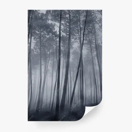 Papier peint forêt de pins embrumée la nuit – Wallnifity®