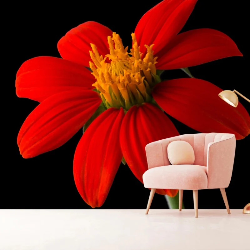 Papier peint éclat rouge : fleur tropicale sur fond noir – Wallnifity® Papier peint éclat rouge : fleur tropicale sur fond noir – Wallnifity®