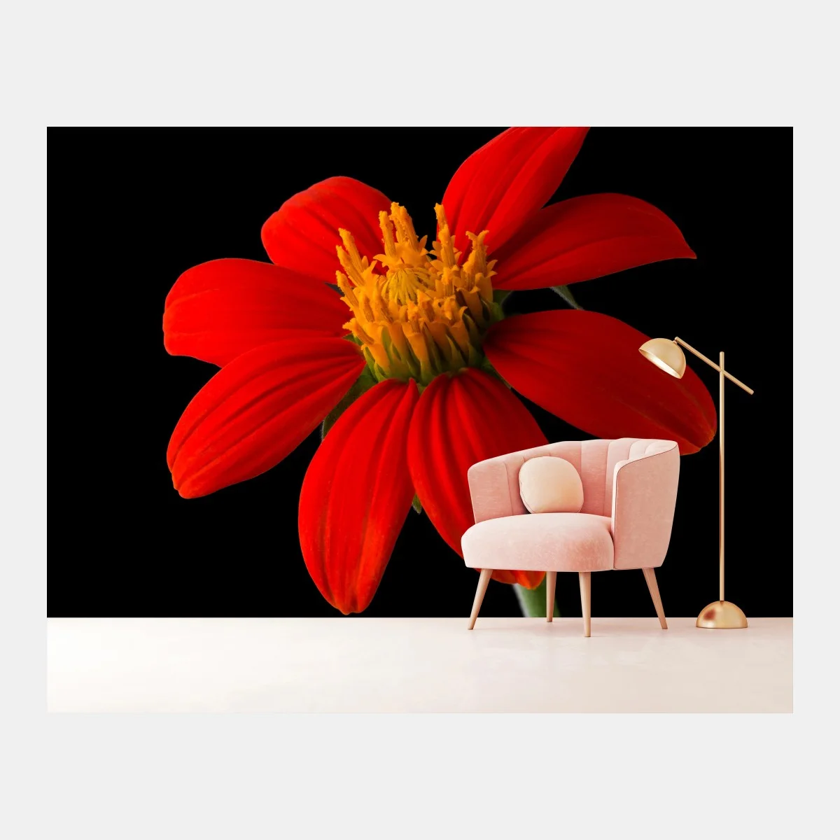 Papier peint éclat rouge : fleur tropicale sur fond noir – Wallnifity® Papier peint éclat rouge : fleur tropicale sur fond noir – Wallnifity®