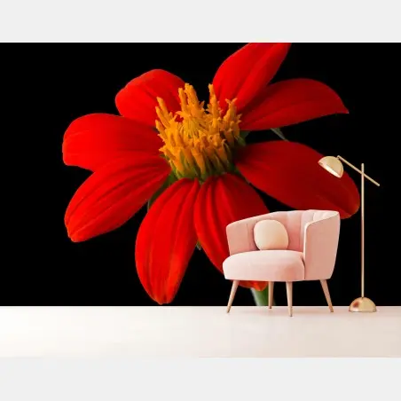 Papier peint éclat rouge : fleur tropicale sur fond noir – Wallnifity®