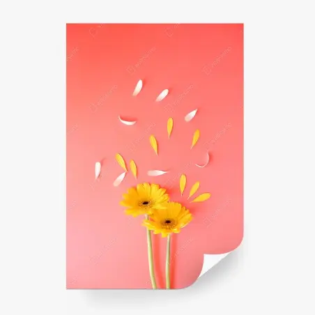 Papier peint double gerbera jaune sur fond corail – Wallnifity®